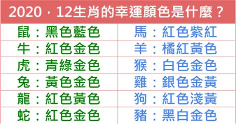 12生肖幸運顏色|龍年到！12生肖最強開運秘訣大公開 幸運數字、顏色。